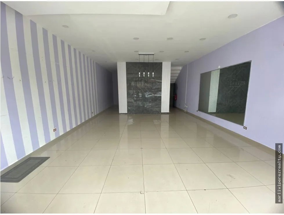 Alquiler de Local Comercial en Vía Brasil
