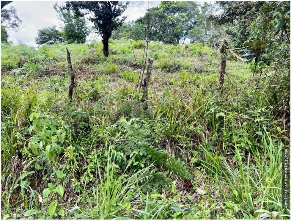 Venta de Terreno en Santa Fe, Veraguas