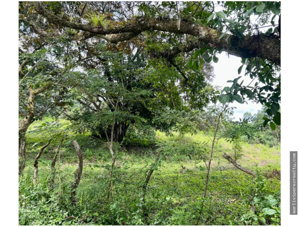 Venta de Terreno en Santa Fe, Veraguas