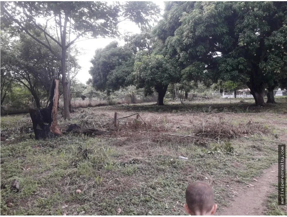 Venta de Terreno en Gorgona