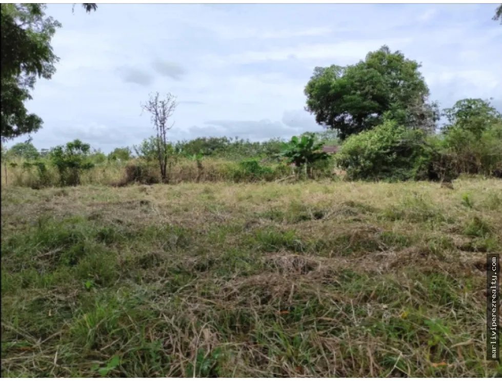 Venta de Terreno en Gorgona