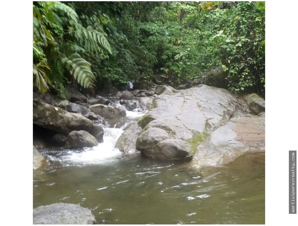 Venta de Finca en Changuinola, Bocas Del Toro