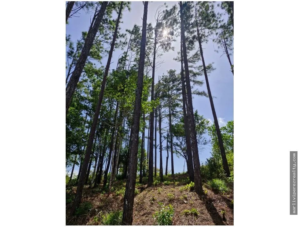 Venta de Terreno en Penonomé