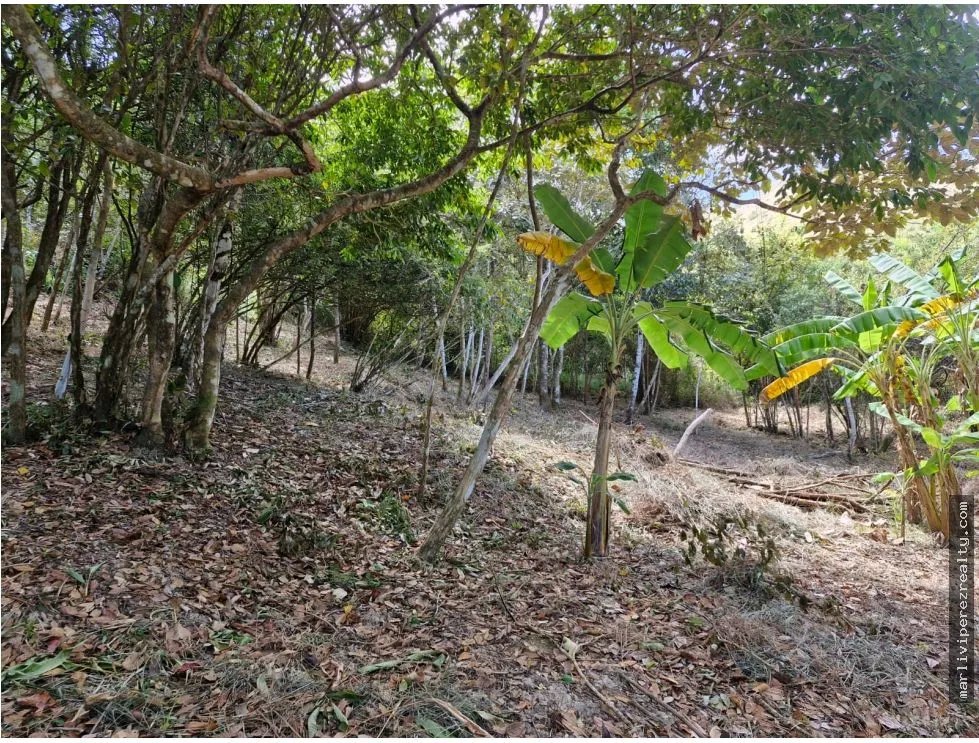Venta de Terreno en Penonomé