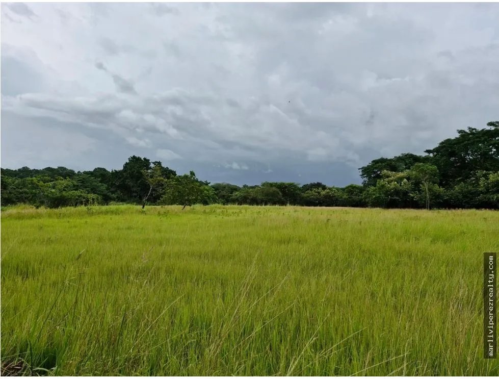 Venta de Terreno en Antón