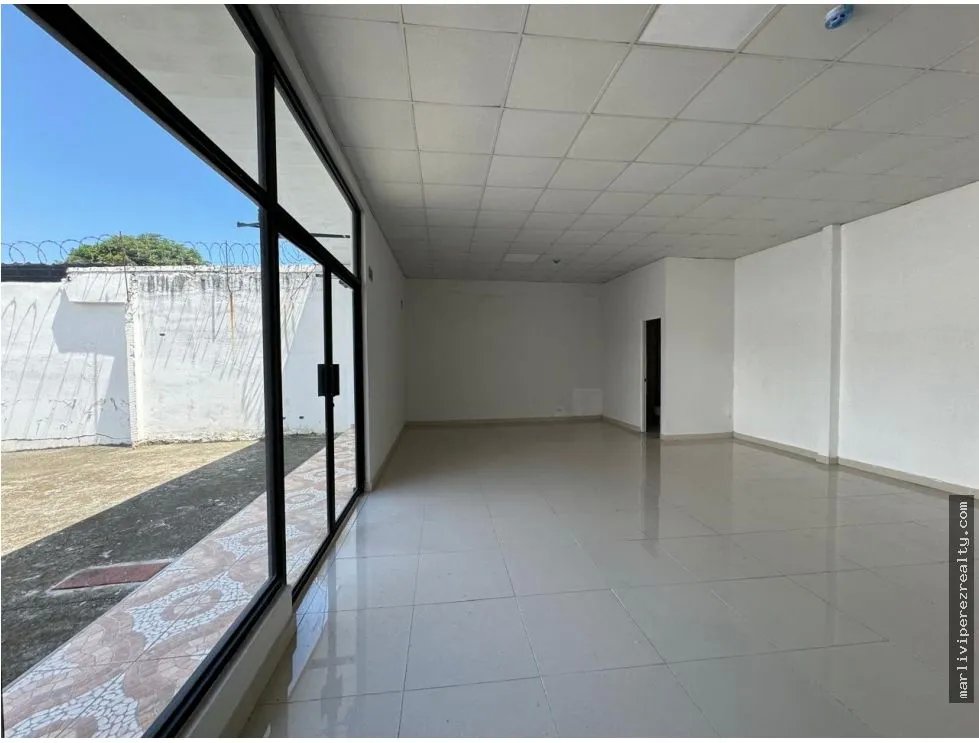 Venta de Plaza Comercial en Parque Lefevre