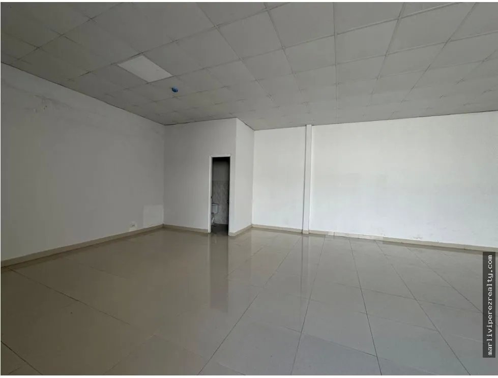 Venta de Plaza Comercial en Parque Lefevre