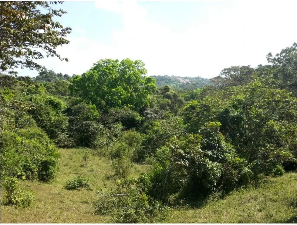 Land for Sale, Transisthmic - Chilibre (Panama)