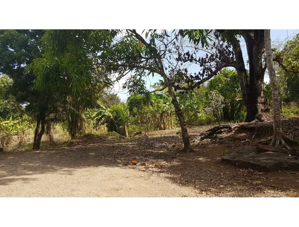 Land for Sale, Transisthmic - Chilibre (Panama)