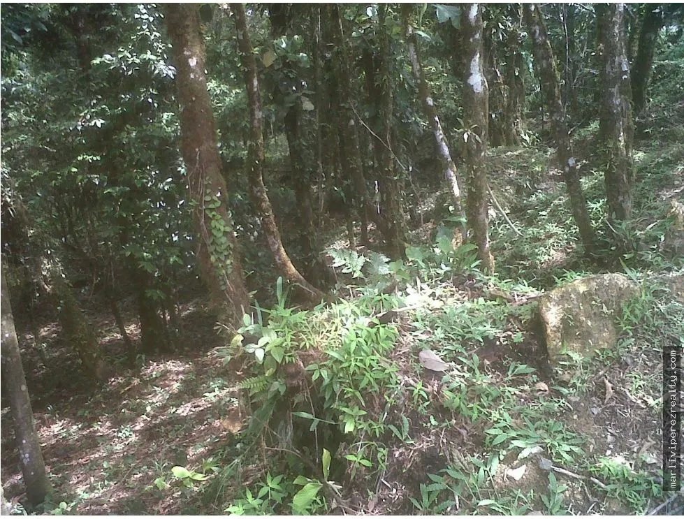 Venta de Terreno Altos Maria