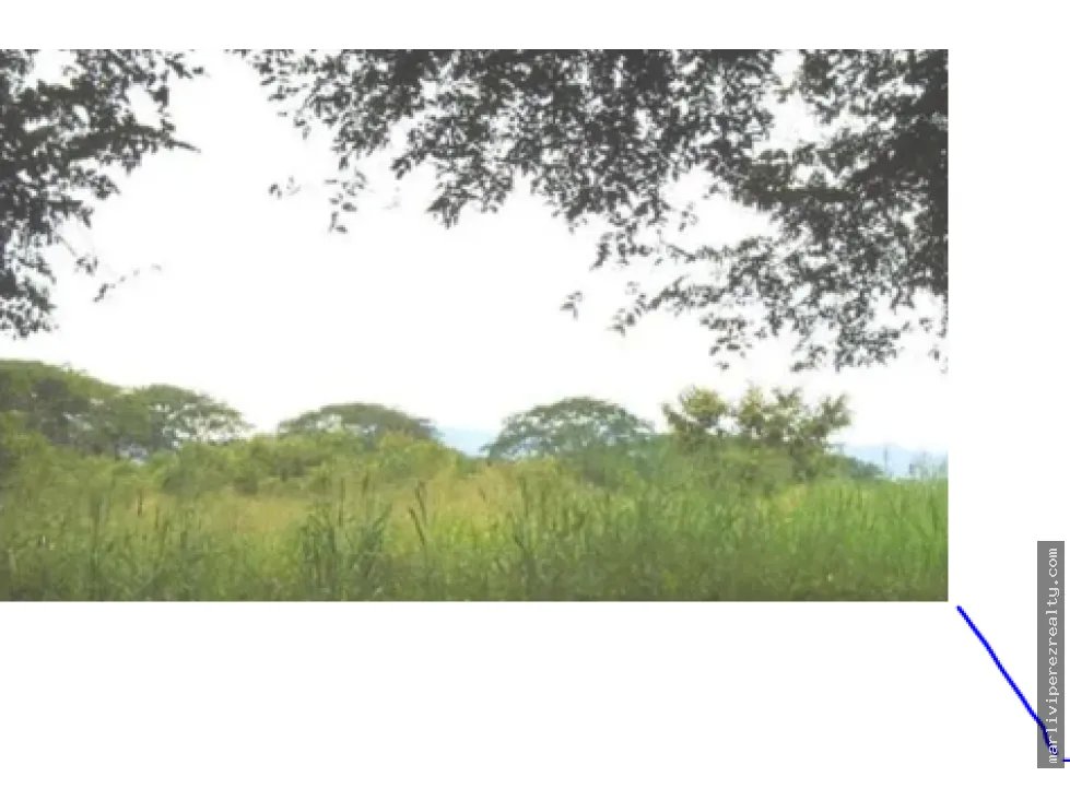 Venta de Terreno en Tonosi
