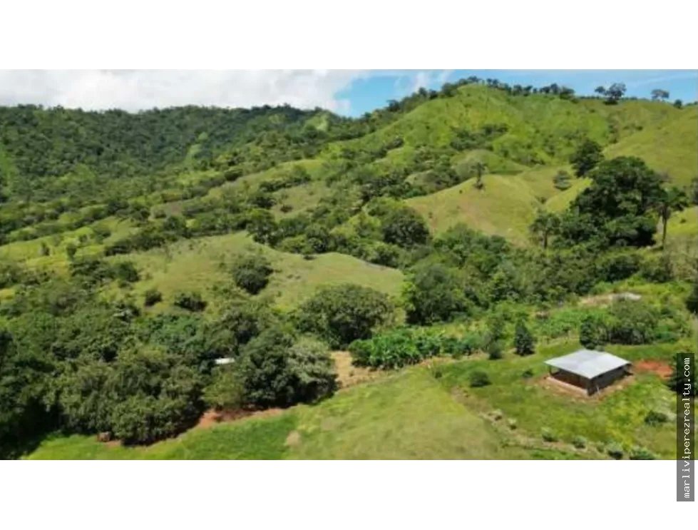 Building Lot for sale in Tonosi