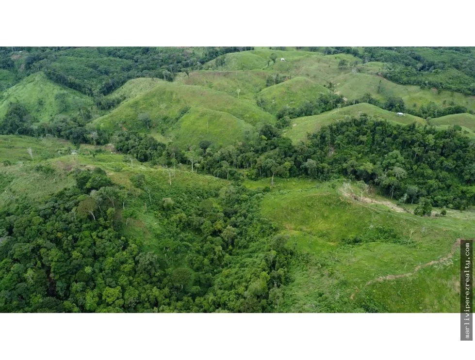 Building Lot for sale in Tonosi