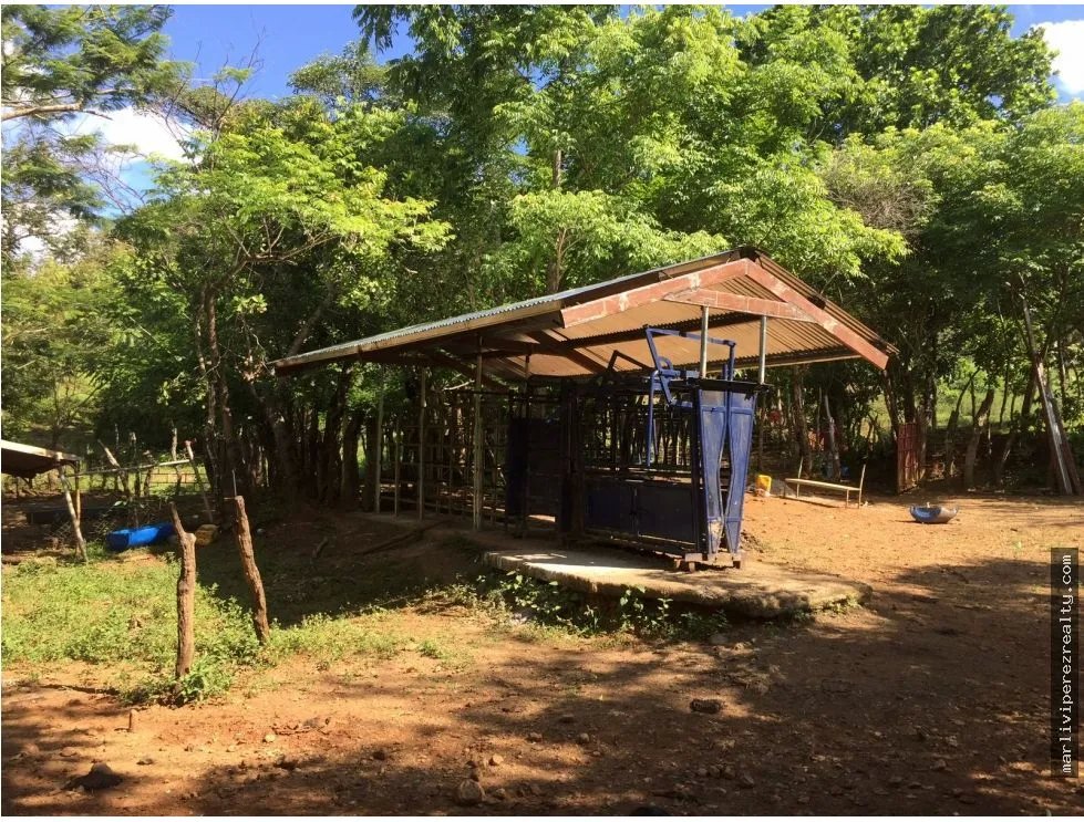 Venta de Finca en Cative, Veraguas