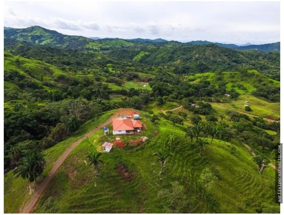 Venta de Finca en Cative, Veraguas