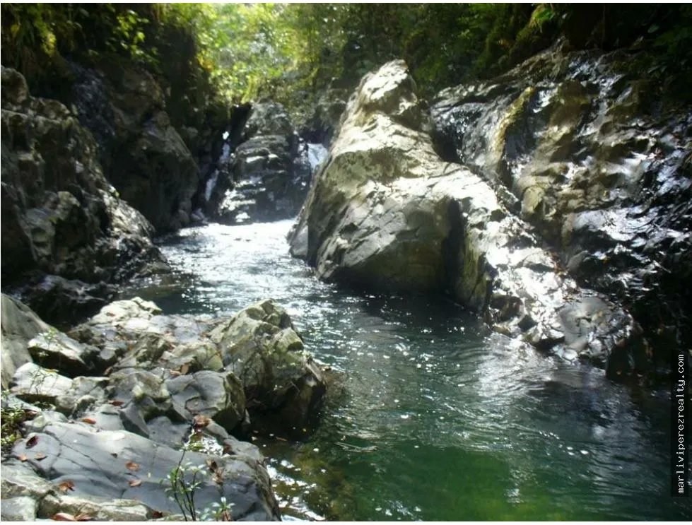 Venta de Finca en Cative, Veraguas