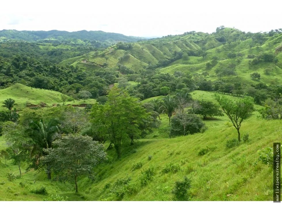 Venta de Finca en Cative, Veraguas