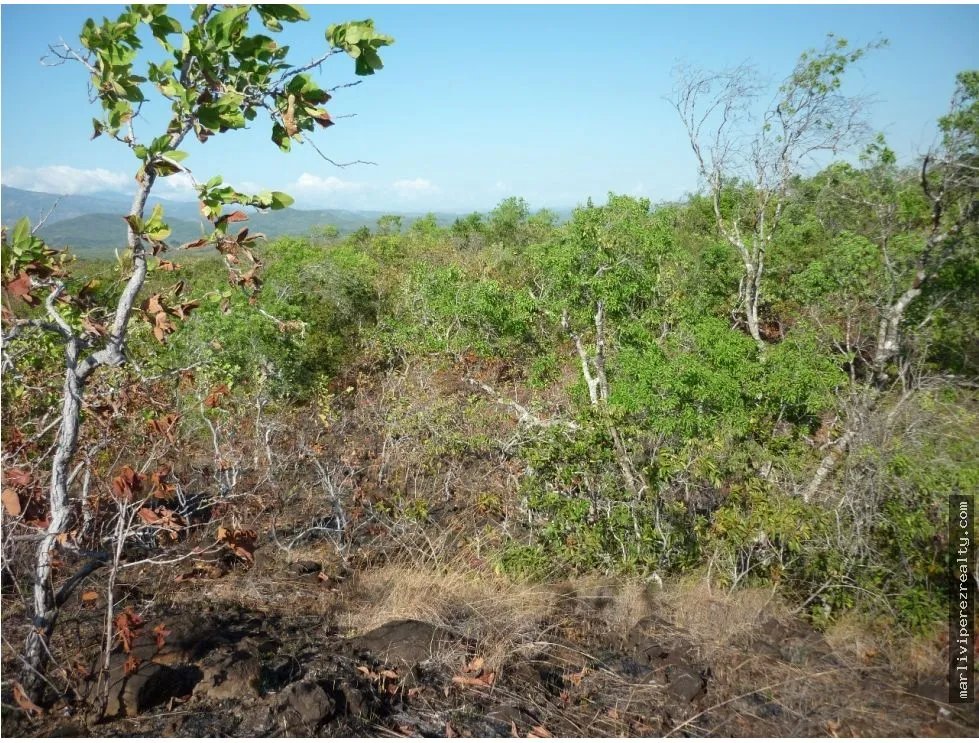Venta de Terreno en Calobre