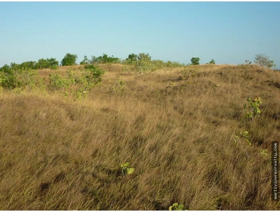 Venta de Terreno en Calobre