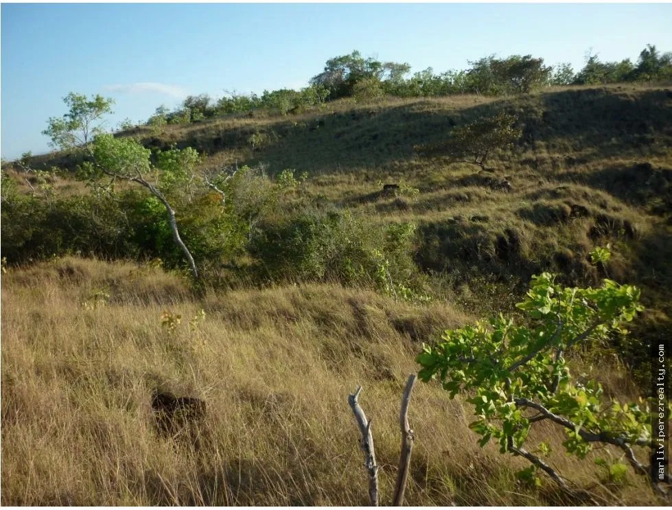 Venta de Terreno en Calobre