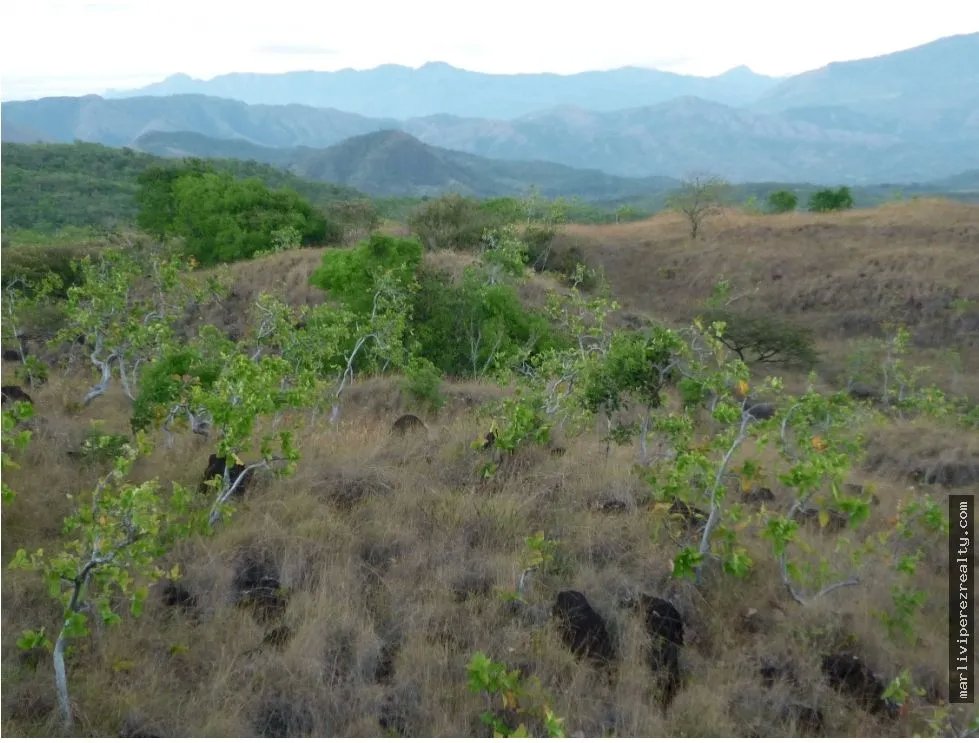 Venta de Terreno en Calobre