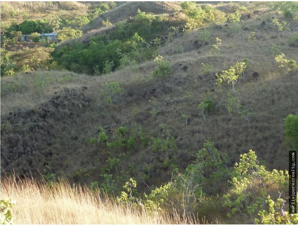 Venta de Terreno en Calobre