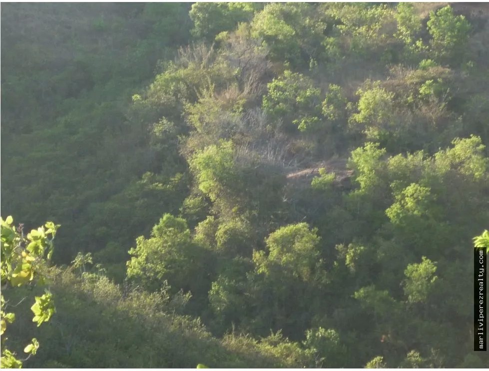 Venta de Terreno en Calobre