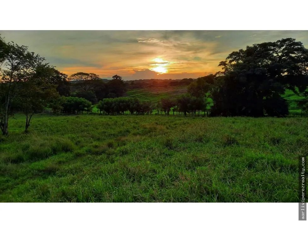 Venta de Lotes en Los Destiladeros, Pedasí