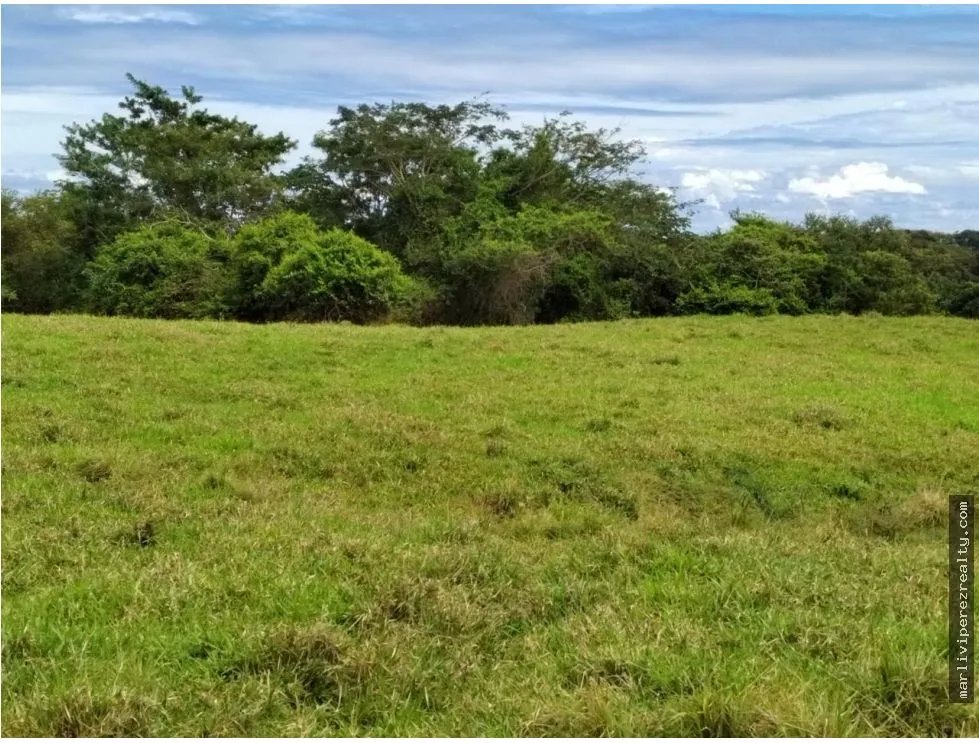 Venta de Lotes en Los Destiladeros, Pedasí