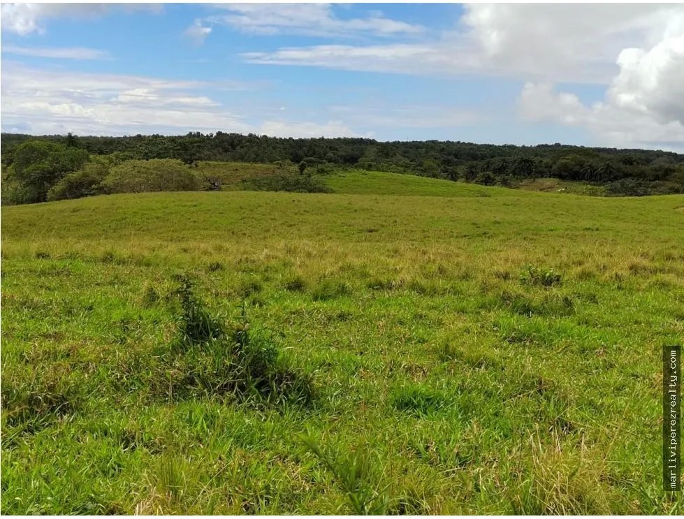 Venta de Lotes en Los Destiladeros, Pedasí