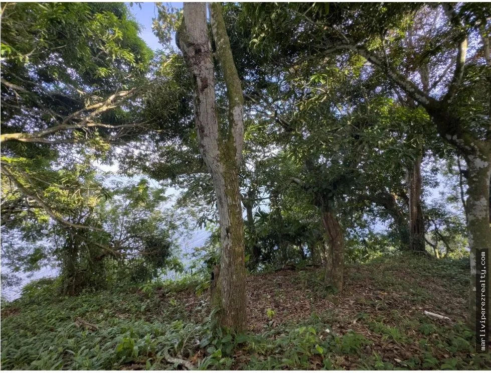 Venta o Alquiler de terreno en Colón, Escobal