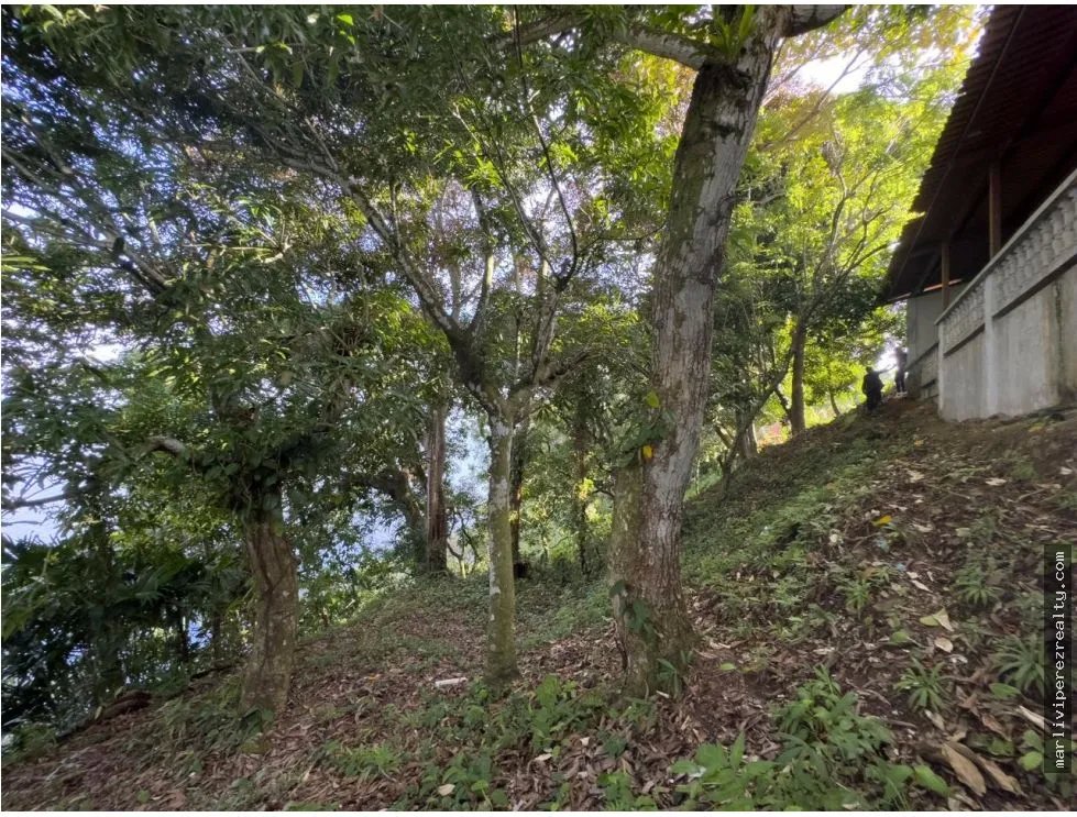 Venta o Alquiler de terreno en Colón, Escobal
