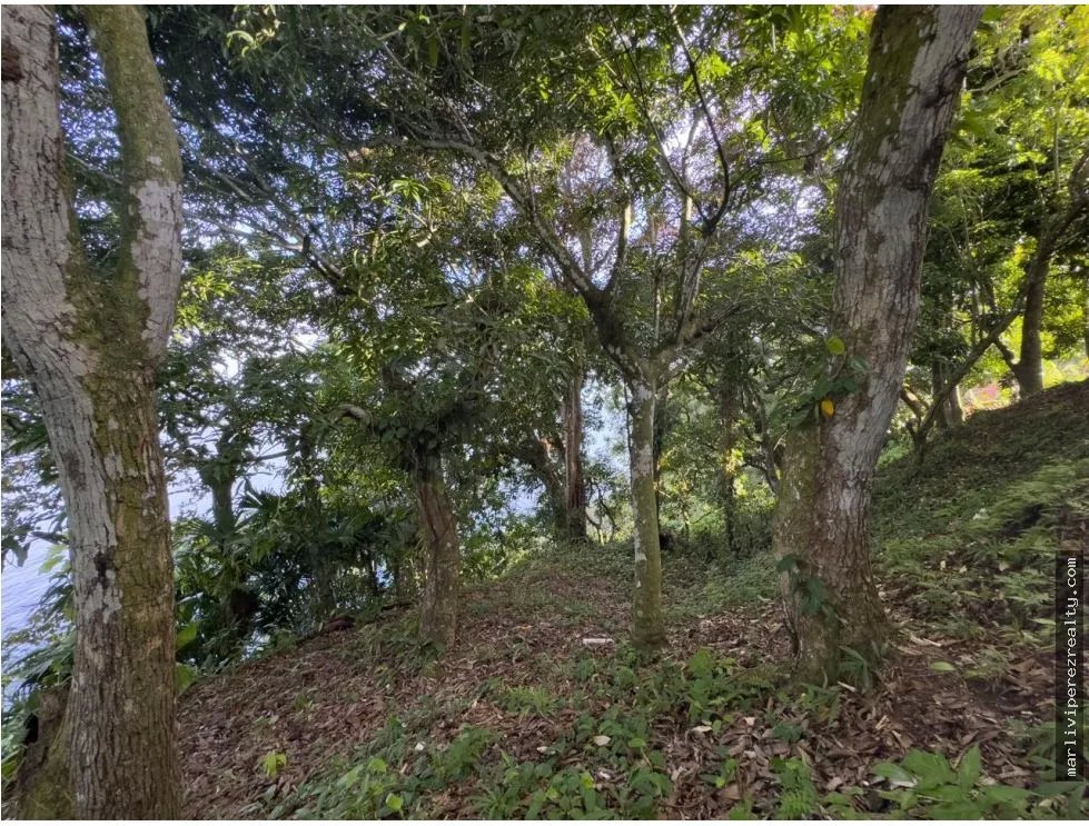 Venta o Alquiler de terreno en Colón, Escobal
