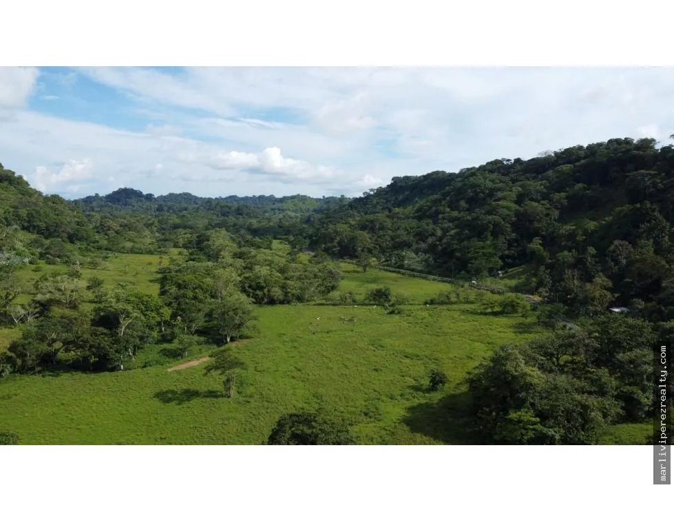 Venta o Alquiler de terreno en Colón, Achiotes