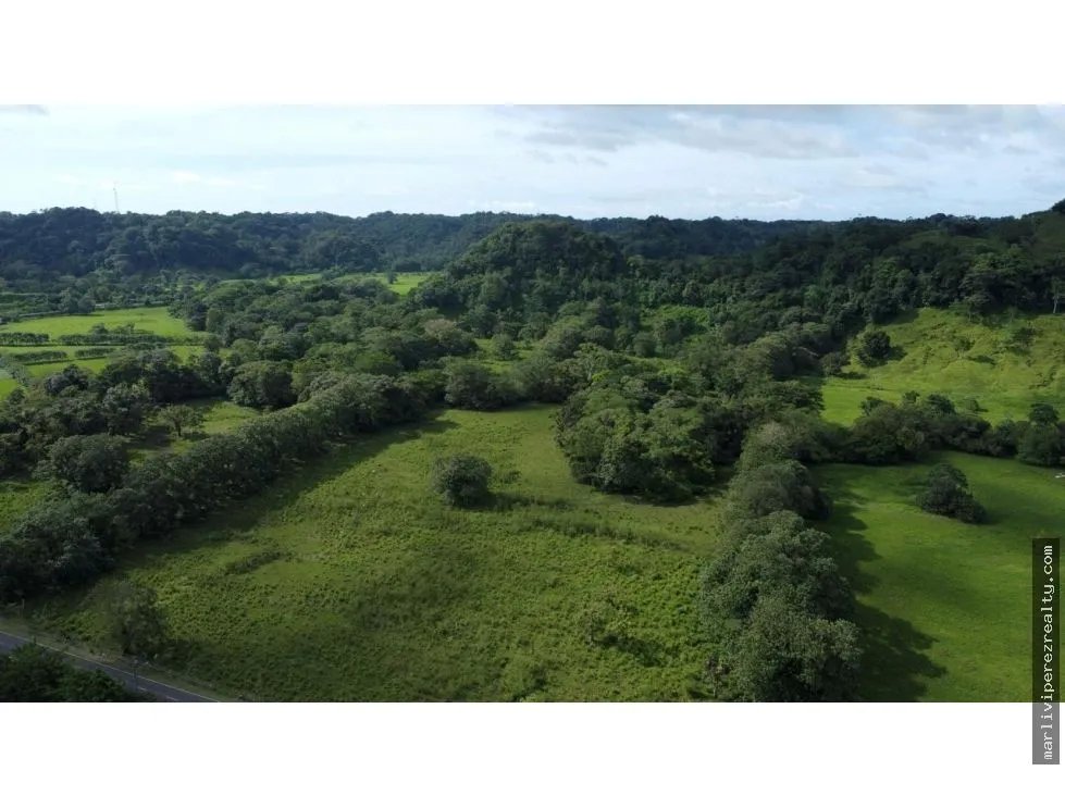 Venta o Alquiler de terreno en Colón, Achiotes
