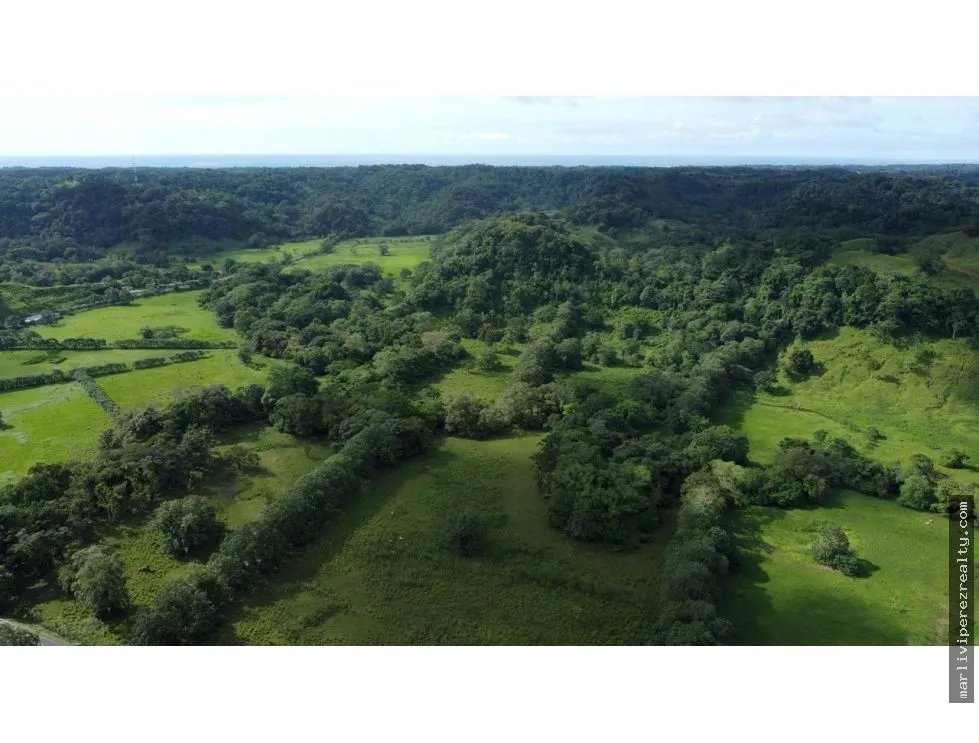 Venta o Alquiler de terreno en Colón, Achiotes