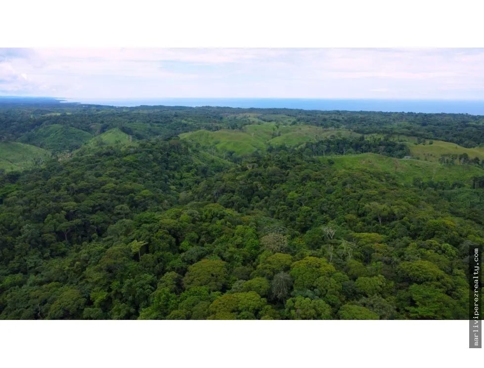Venta o Alquiler de terreno en Colón, Piña