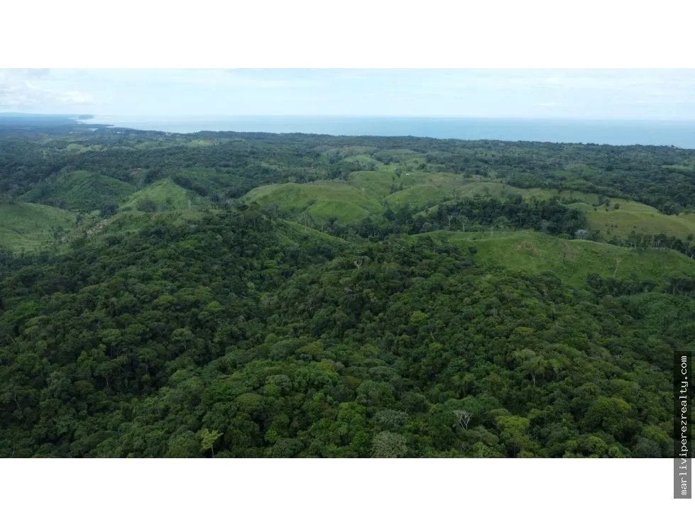 Venta o Alquiler de terreno en Colón, Piña