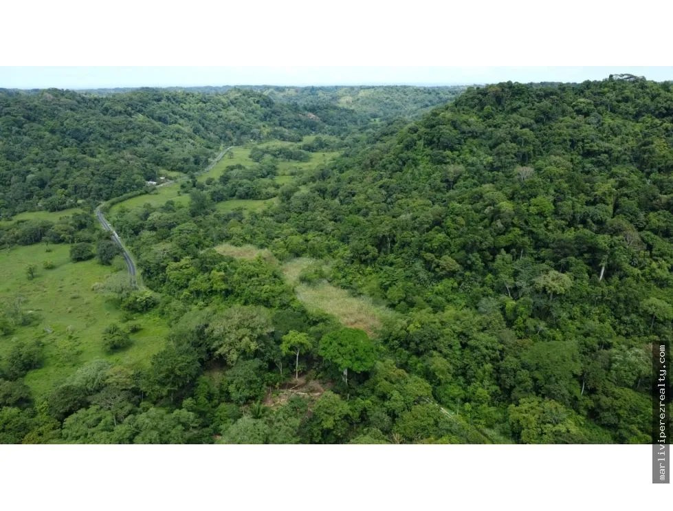 Venta o Alquiler de terreno en Colón, Piña