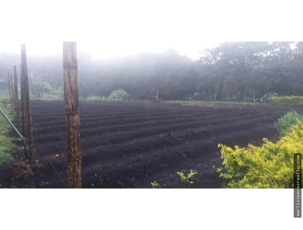 Venta de Terreno en Chiriquí