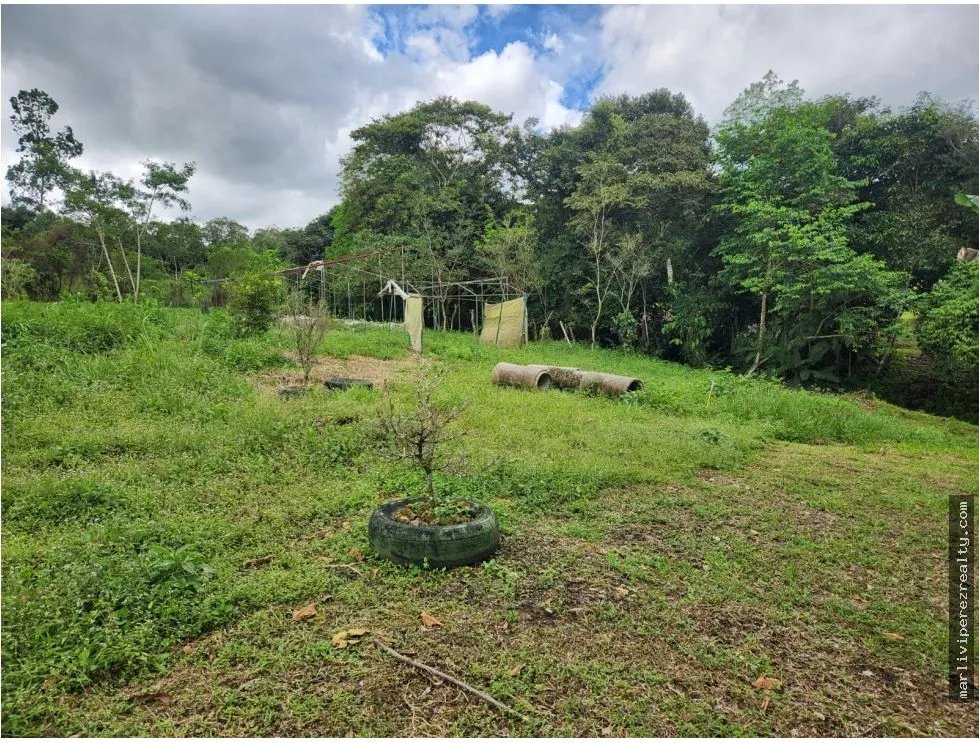 Venta de Terreno en Chiriquí