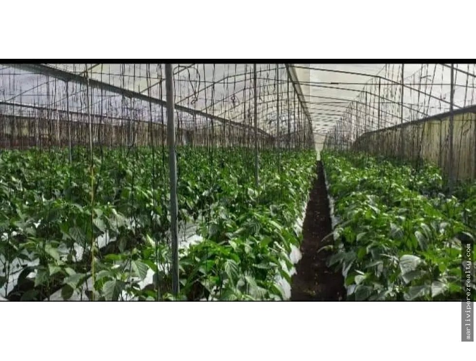 Venta de Terreno en Chiriquí
