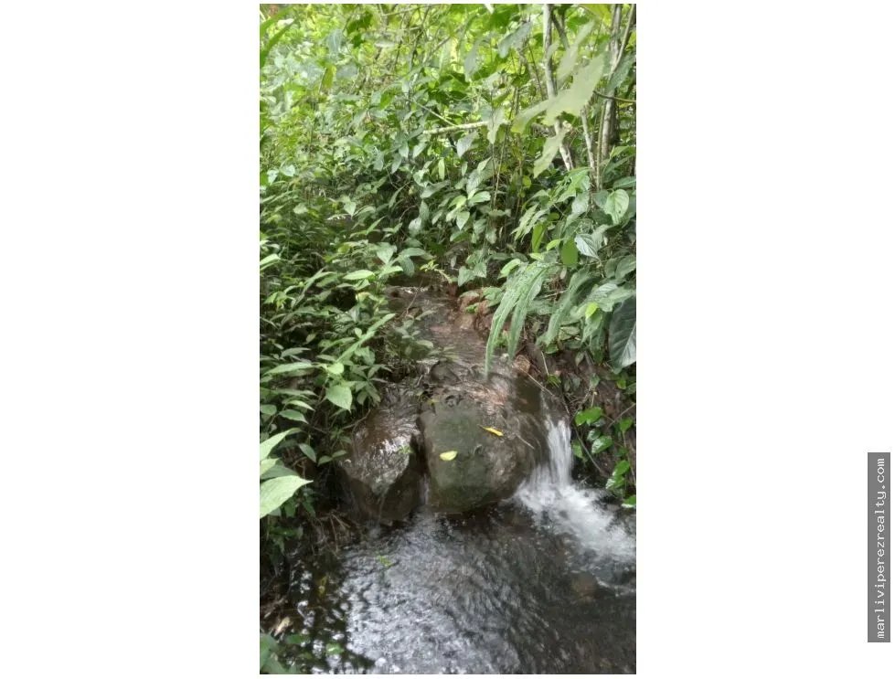 Venta de Terreno en Chiriquí