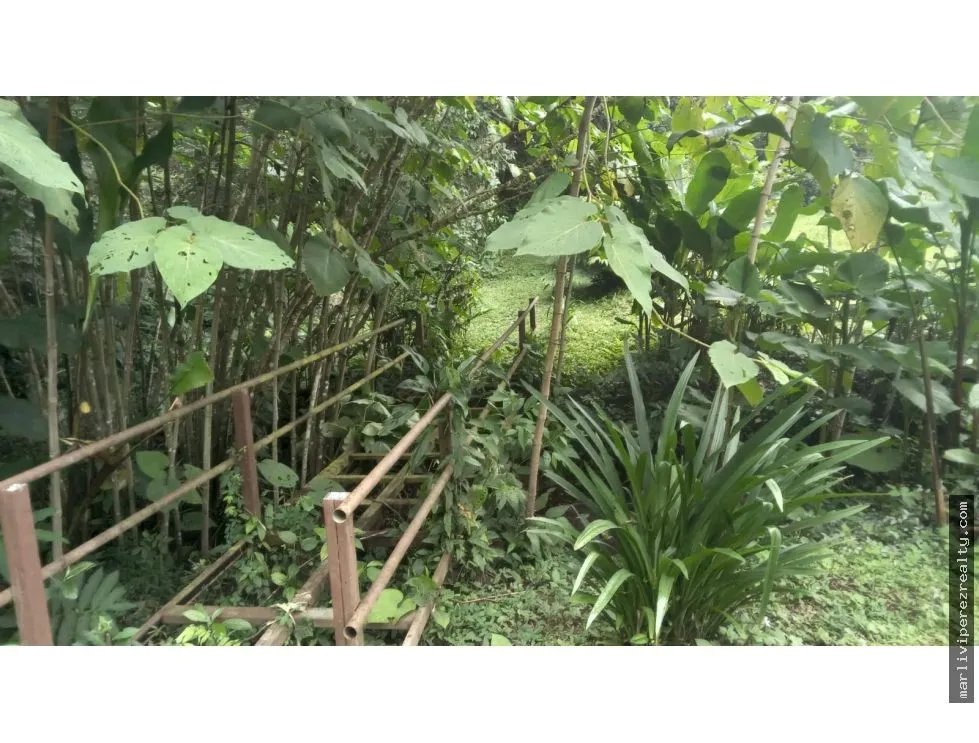 Venta de Terreno en Chiriquí