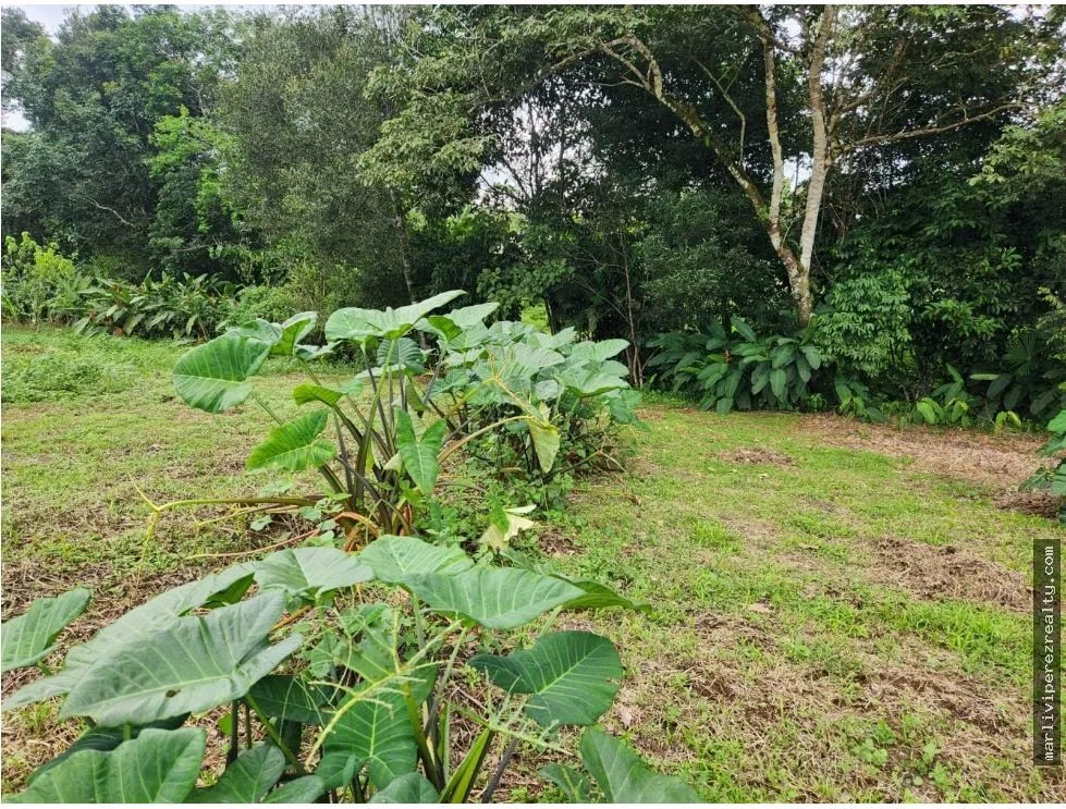 Venta de Terreno en Chiriquí