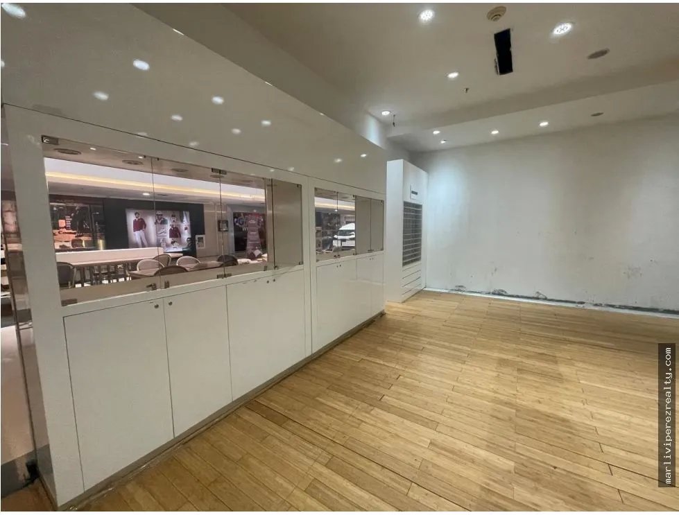 Venta de Local Comercial en Avenida Balbia
