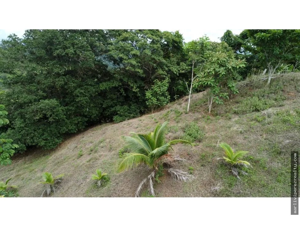 Venta de terreno en El Espavé, Tonosí