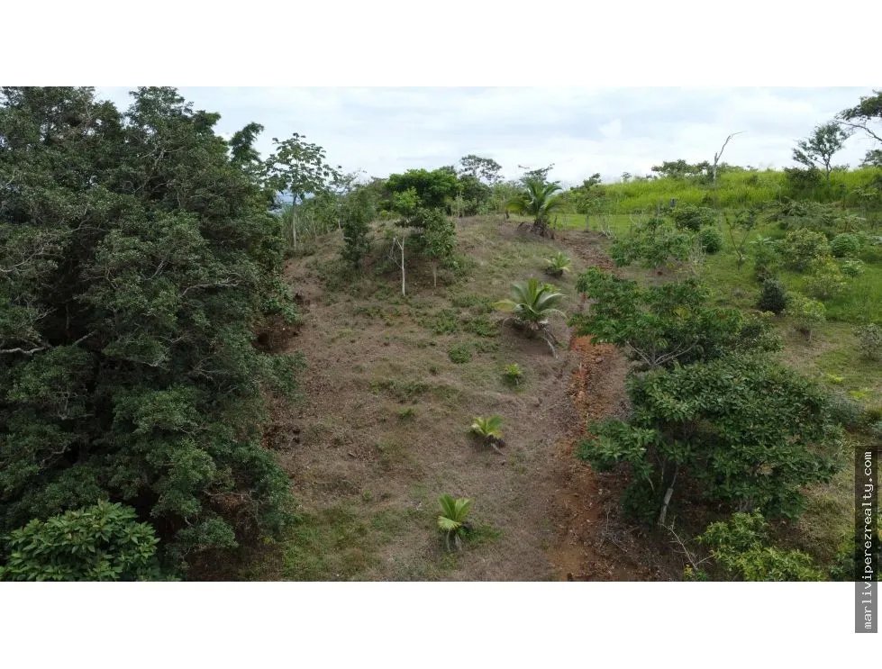Venta de terreno en El Espavé, Tonosí