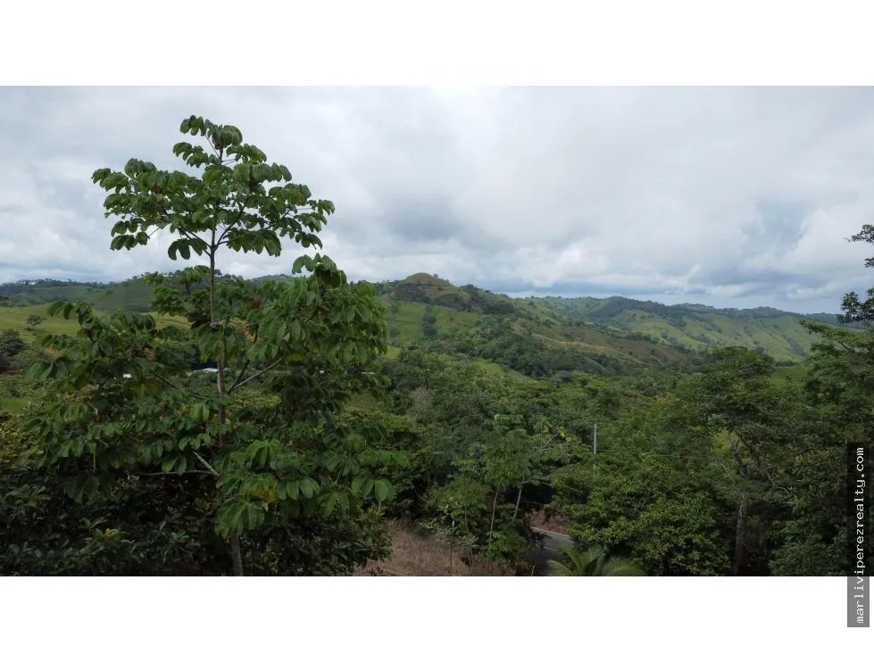 Venta de terreno en El Espavé, Tonosí