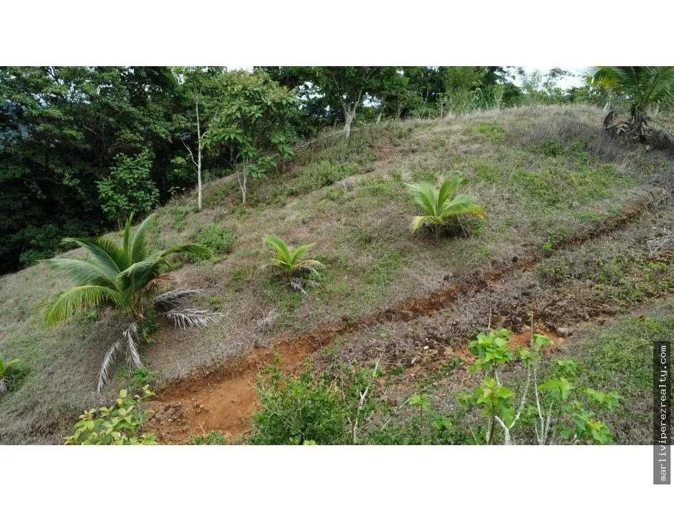 Venta de terreno en El Espavé, Tonosí